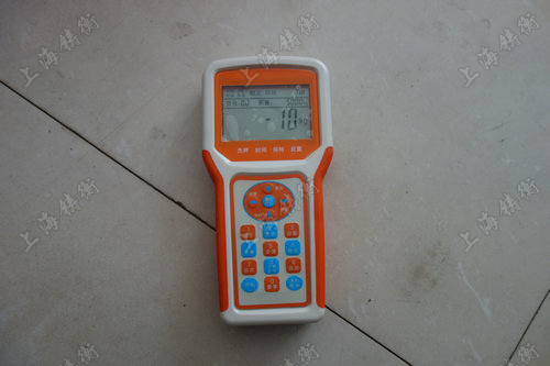 直視電子吊稱(chēng)