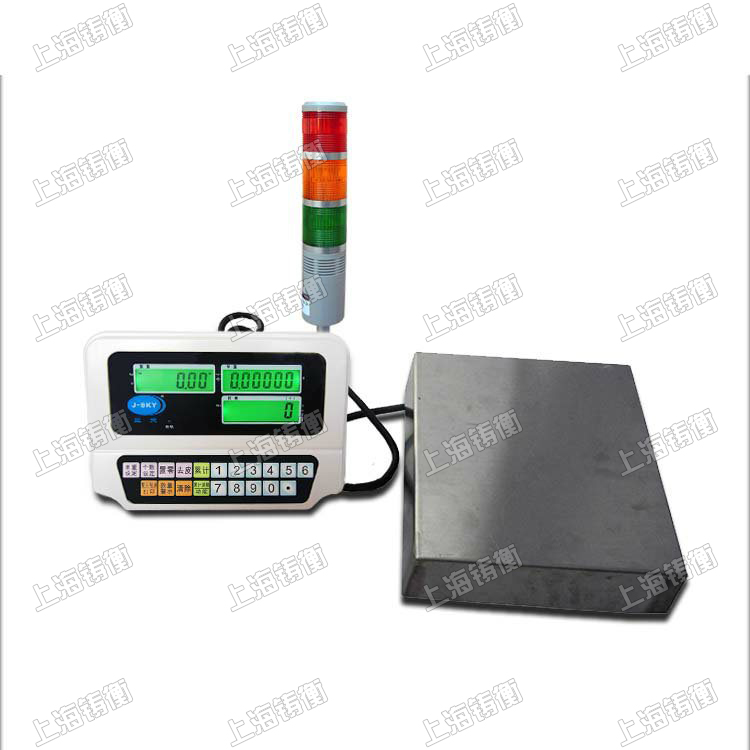 電子計(jì)數(shù)臺(tái)秤