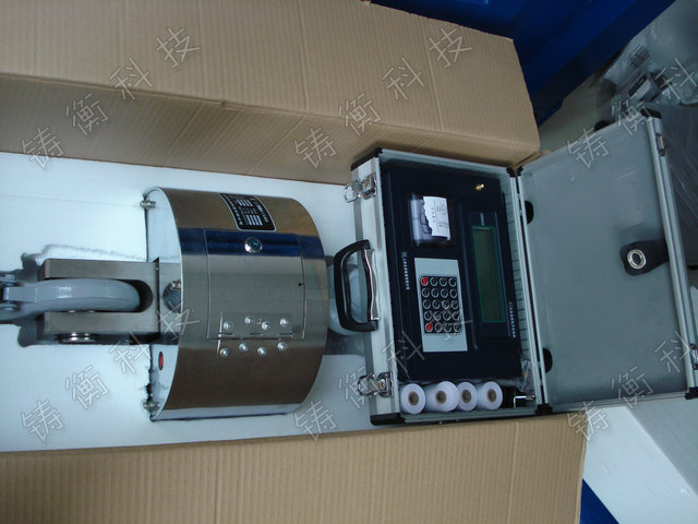 無線數(shù)傳電子吊秤