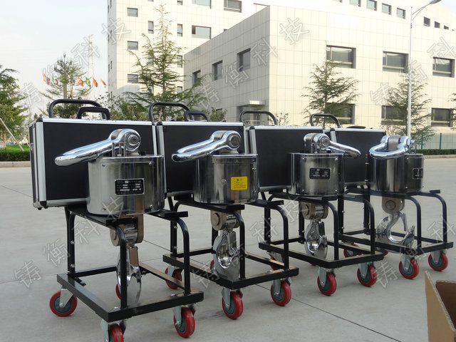 電子吊秤帶打印