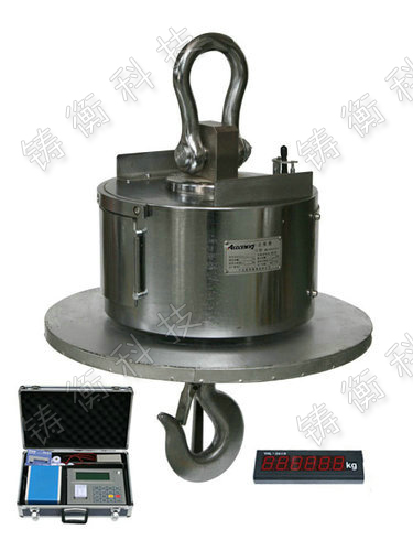 耐高溫電子吊秤